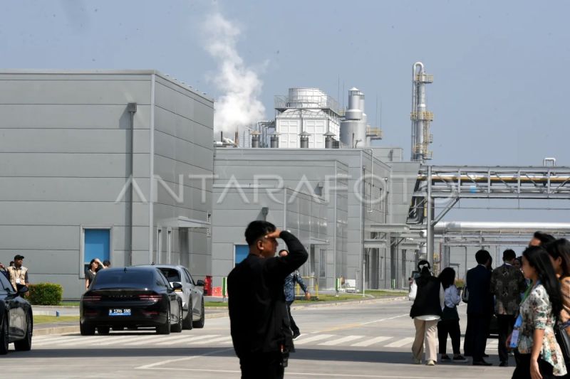 csis-ungkap-tantangan-dan-peluang-industri-hijau-di-indonesia