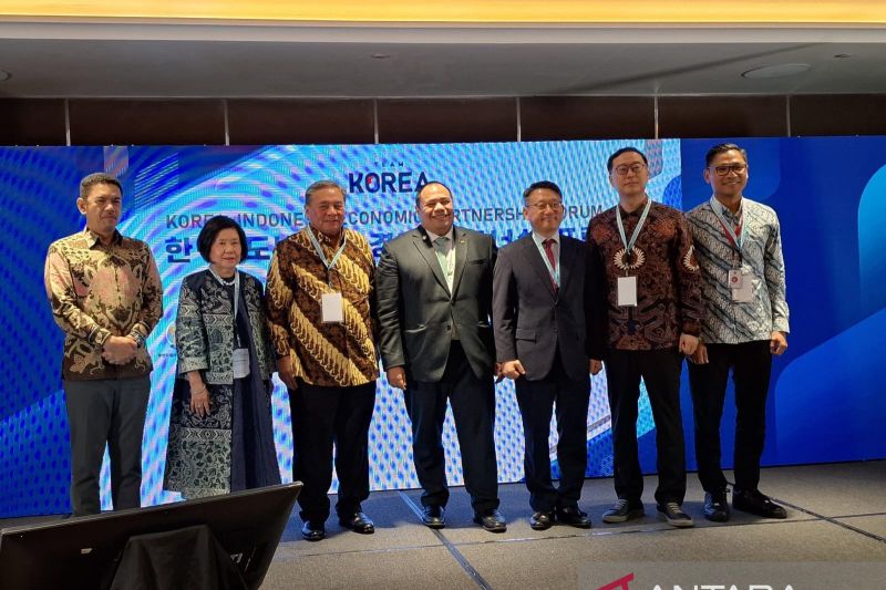 danantara-ajak-korea-selatan-bangun-perusahaan-kesehatan-di-ri