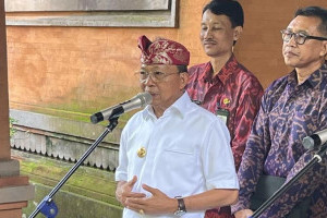 dprd-bali-dorong-legalisasi-sabung-ayam-gubernur-koster-tolak-tegas