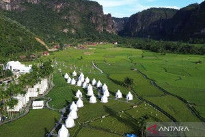 eksplorasi-keindahan-pertanian-di-lembah-harau-sumbar