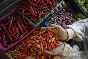 harga-bawang-merah-dan-cabai-rawit-melonjak-bapanas-catat-tinggi