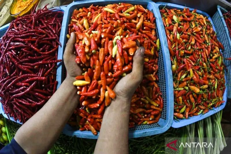 harga-bawang-merah-dan-cabai-rawit-stabil-di-kisaran-rp43-413-dan-rp51-962