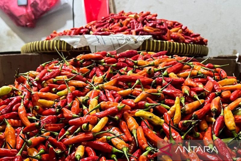 harga-bawang-merah-dan-cabai-rawit-stabil-di-pasar-tradisional