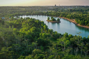 hari-hutan-hujan-sedunia-2025-pentingnya-perlindungan-hutan-hujan-global