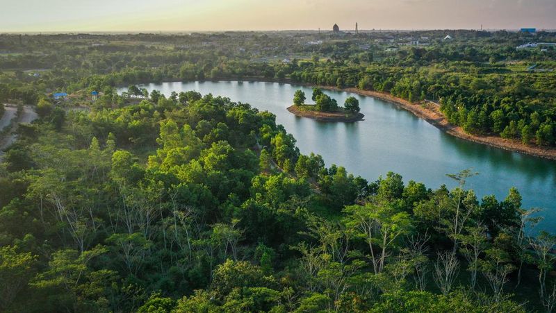 hari-hutan-hujan-sedunia-2025-pentingnya-perlindungan-hutan-hujan-global