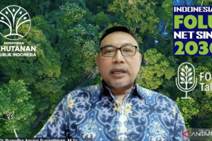 kaltim-jadi-pionir-implementasi-pendanaan-iklim-rbp