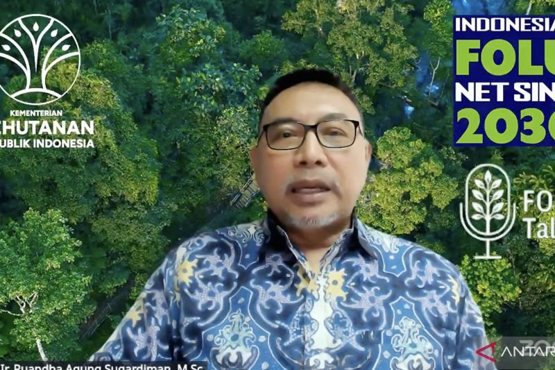 kaltim-jadi-pionir-implementasi-pendanaan-iklim-rbp