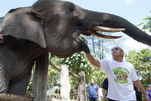 kapolda-riau-ajak-masyarakat-selamatkan-rumah-gajah-di-tesso-nilo