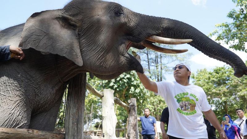 kapolda-riau-ajak-masyarakat-selamatkan-rumah-gajah-di-tesso-nilo
