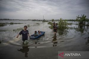 kasus-virus-hanta-dan-banjir-di-demak-meluas-ramai-dibahas
