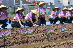 kejagung-dan-kemendes-tingkatkan-ketahanan-pangan-desa