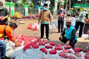 kemenag-catat-kurban-nasional-capai-1-86-juta-ekor