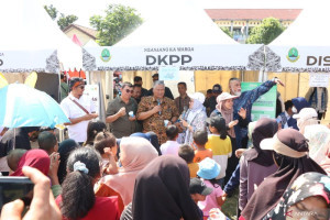 kemenpanrb-dorong-perluasan-layanan-publik-efektif-di-indonesia