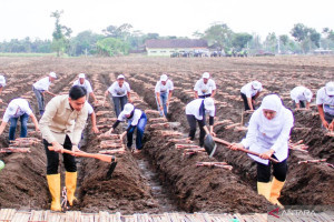 khofifah-tekankan-pentingnya-swasembada-gula-nasional-dari-jawa-timur