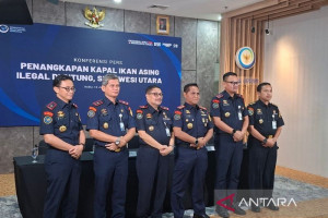 kkp-gagalkan-penyitaan-1-950-telur-penyu-di-kalimantan-barat