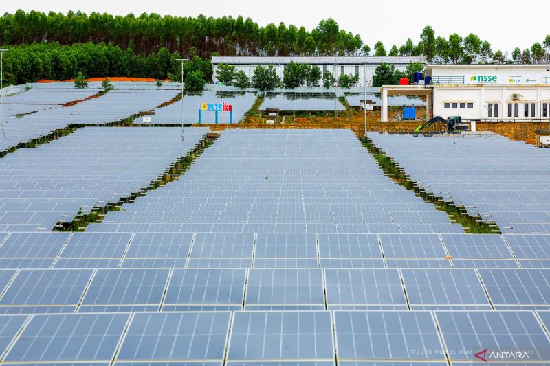 kolaborasi-indonesia-singapura-kembangkan-energi-hijau-di-ikn