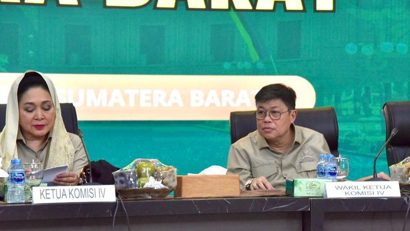 komisi-iv-dpr-desak-evaluasi-ulang-izin-pengelolaan-hutan-mentawai
