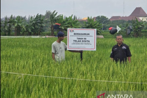 kpk-periksa-tiga-saksi-kasus-pengadaan-lahan-rorotan