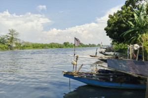 limbah-industri-cemari-sungai-ciujung-dan-dampaknya-pada-warga-serang