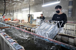luyi-fokus-kembangkan-industri-kecantikan-untuk-penuhi-pertumbuhan-ekonomi
