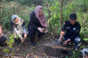 mahasiswi-australia-tampilkan-minat-tinggi-terhadap-keunikan-tahura-trumon