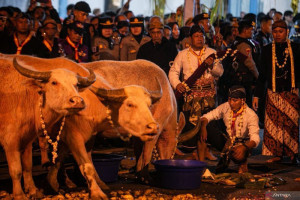 malam-1-suro-2025-ritual-dan-makna-dalam-budaya-jawa