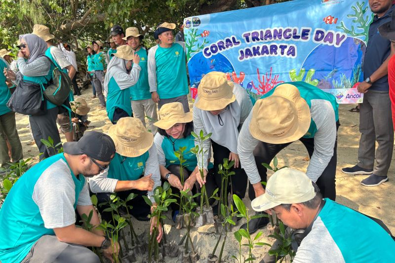 pelajar-jakarta-didorong-peduli-ekosistem-pesisir