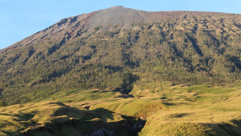 pemerintah-fokus-evakuasi-wna-brasil-di-gunung-rinjani