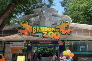 pemkot-bandung-siap-ambil-alih-pengelolaan-bandung-zoo-jika-konflik-internal-berlanjut