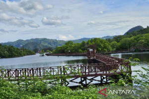 pemprov-pengelolaan-hutan-lestari-di-papua-butuh-tiga-prinsip-utama
