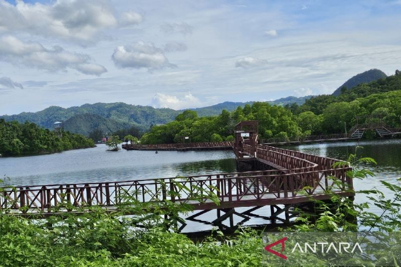 pemprov-pengelolaan-hutan-lestari-di-papua-butuh-tiga-prinsip-utama