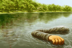 pemuda-hanyut-di-kali-cileungsi-ditemukan-tewas