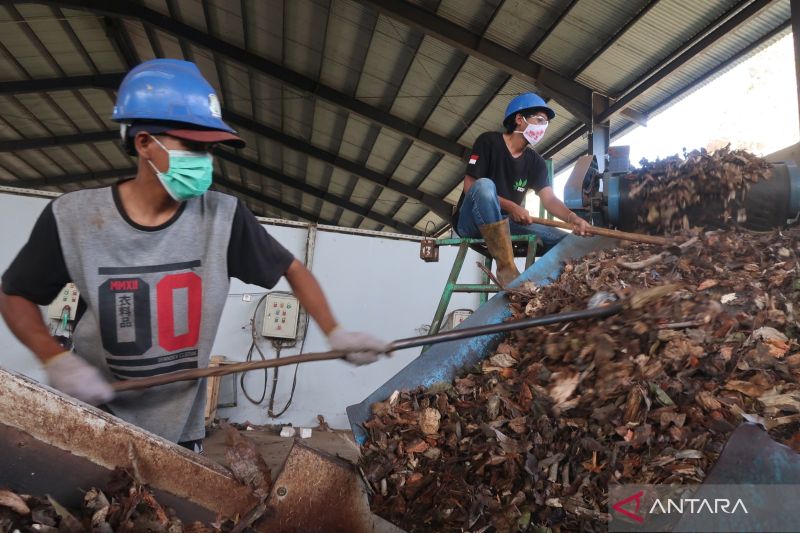 penggunaan-biomassa-tingkatkan-kesejahteraan-warga-desa