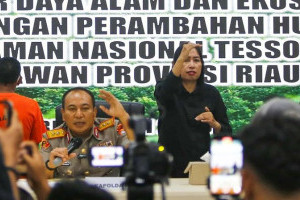 penurunan-luas-konservasi-tntn-masyarakat-diminta-jaga-gajah