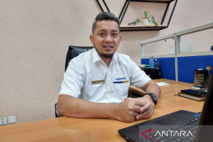 penyaluran-dau-ke-enam-pemda-di-papua-barat-capai-rp1-03-triliun
