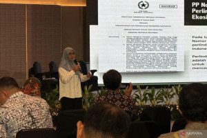 peraturan-baru-perlindungan-mangrove-perkuat-program-rehabilitasi