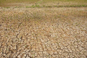 perpindahan-musim-kemarau-2025-di-indonesia-dipengaruhi-faktor-klimatologis