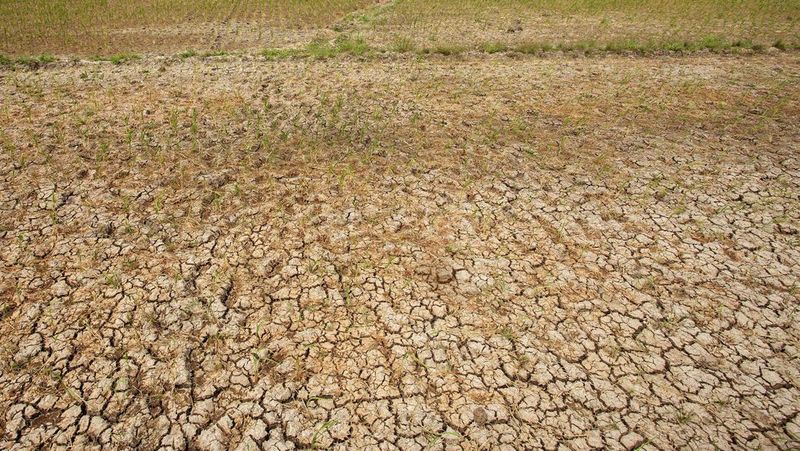 perpindahan-musim-kemarau-2025-di-indonesia-dipengaruhi-faktor-klimatologis