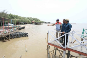 phe-onwj-raih-penghargaan-ideas-2025-berkat-program-pemberdayaan-pesisir