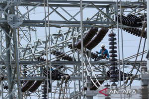 pln-salurkan-rp65-59-triliun-ke-kas-negara-tahun-2024