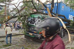 pohon-tumbang-karena-tersangkut-truk-di-depok-sempat-bikin-lalin-macet