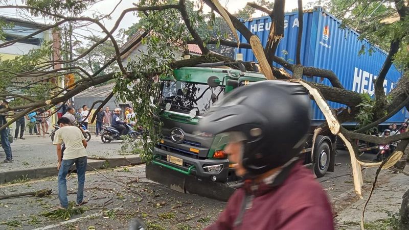 pohon-tumbang-karena-tersangkut-truk-di-depok-sempat-bikin-lalin-macet