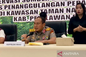 polda-riau-amankan-tokoh-adat-jual-lahan-ilegal-di-tn-tesso-nillo