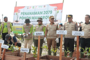polres-meranti-tebar-ribuan-bibit-mangrove-hut-bhayangkara-ke-79