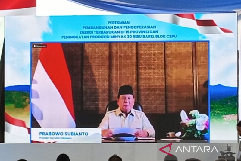 prabowo-resmikan-pembangunan-pembangkit-listrik-ramah-lingkungan-di-15-provinsi