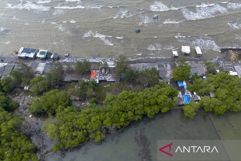 rehabilitasi-200-hektare-mangrove-di-indramayu-dukung-perlindungan-ekosistem-pantai