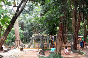 revitalisasi-hutan-kota-srengseng-dukung-keberlanjutan-hijau-di-jakarta