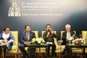 ri-siapkan-strategi-khusus-eliminasi-malaria-di-papua