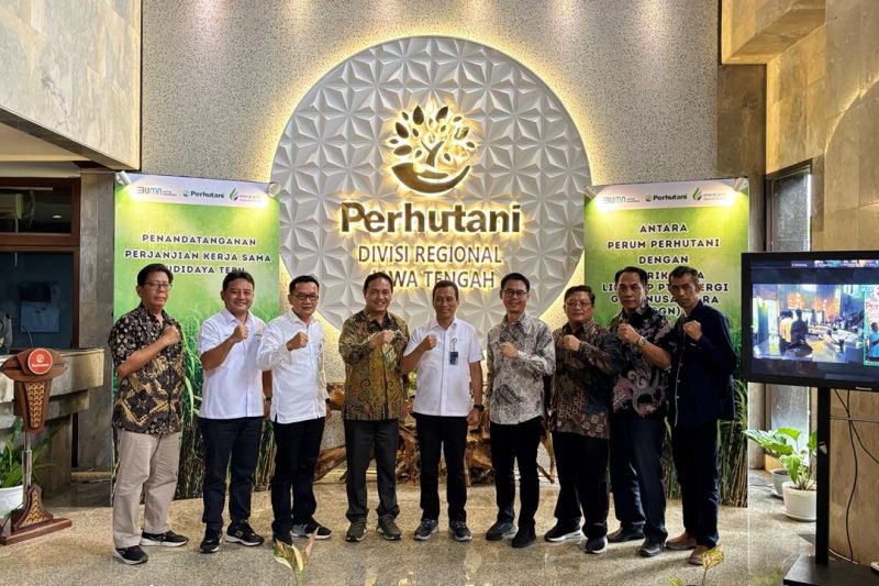 sinergi-pt-sgn-dan-perhutani-percepat-swasembada-gula-nasional