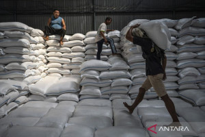 stok-cadangan-beras-pemerintah-capai-4-15-juta-ton